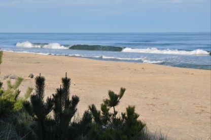  Ocean beach