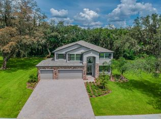 9207 Parthenon Pl, Seffner, FL 33584