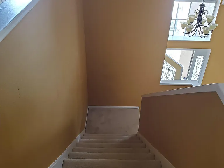 1324 Franford Dr — Photo 16