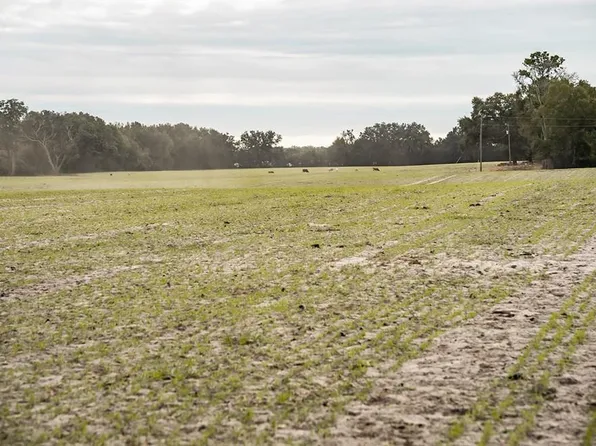 Lot 6 Country Hall Road, Chiefland, FL 32626