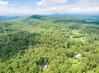 49 Stuart Mountain Rd, Mineral Bluff, GA 30559