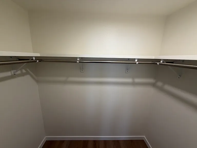 Primary walk-in closet shelving