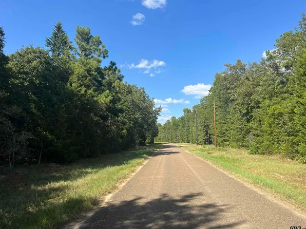 1803 County Road 4606, Troup, TX 75789