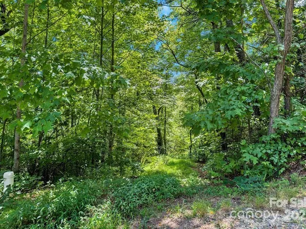 144 Galax Dr #T42, Black Mountain, NC 28711