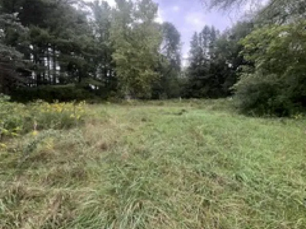 5705 Leix Rd, Mayville, MI 48744
