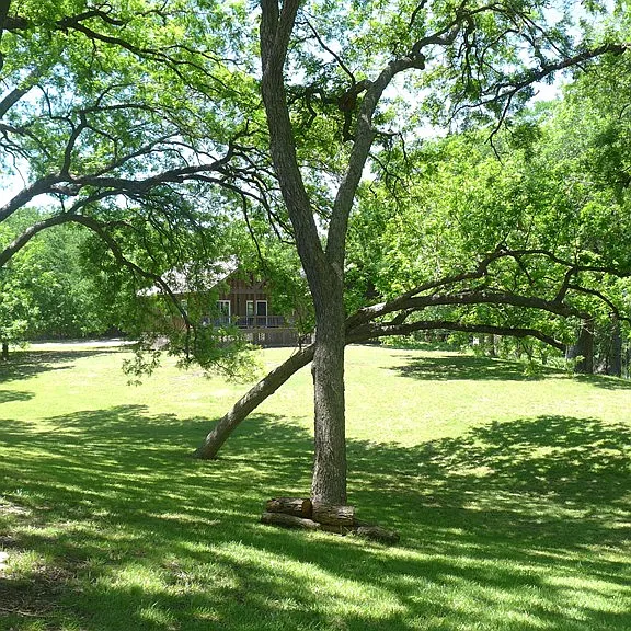 156 Verde Park Blvd — Photo 21