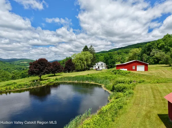 240 Dowie Road, Andes, NY 13731