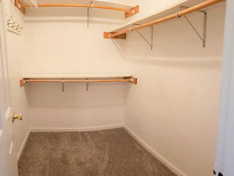 master bedroom walk-in