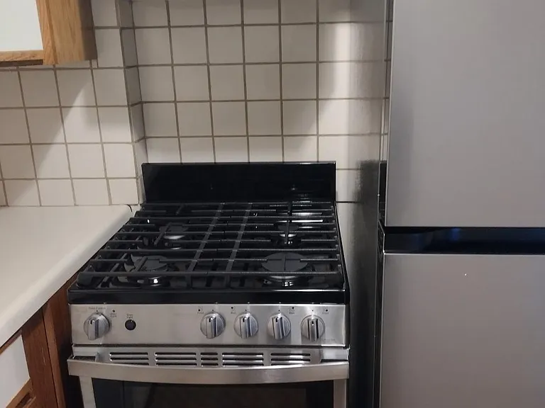 3901 Nostrand Ave #1U — Photo 18