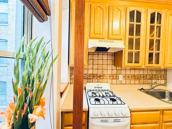 421 East 65th Street image 1 of 7