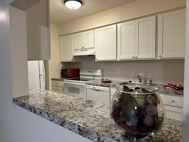 703 Camelback Ct — Photo 4