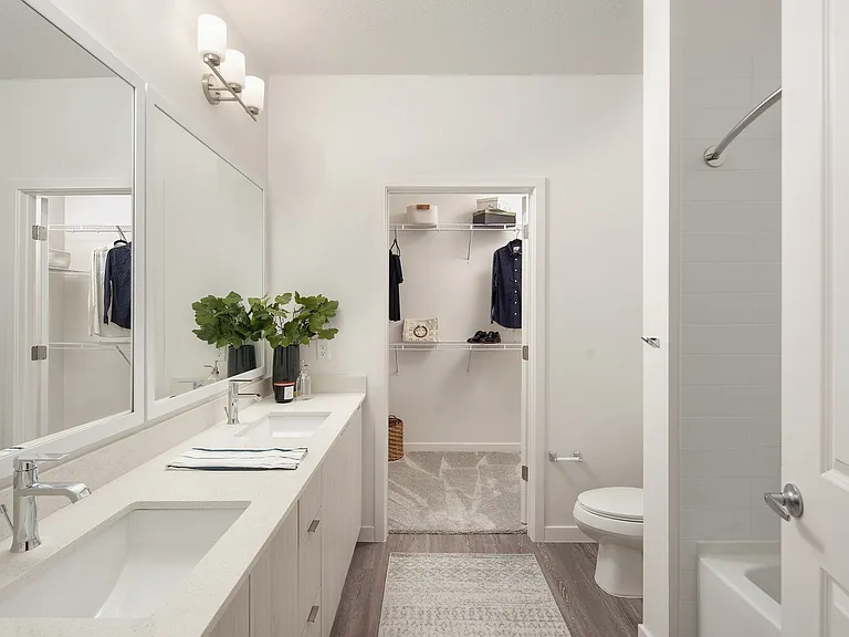 Bathroom with Large Walk-In Closet