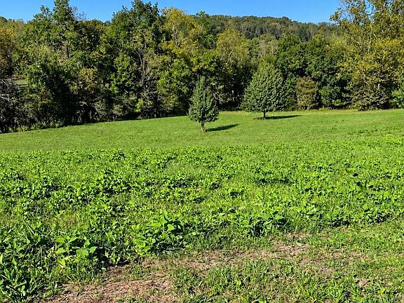 3rd image of 3771 Clark House Farm Rd