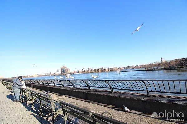 Rented by Alpha Properties NYC I LLC | media 2