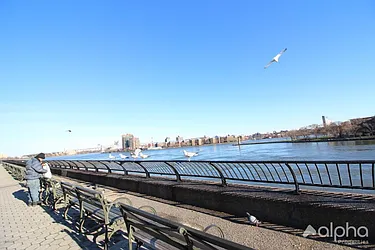 Rented by Alpha Properties NYC I LLC