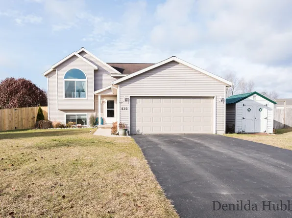 610 Birch Run St, Howard City, MI 49329