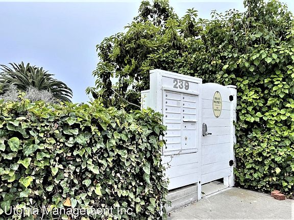 2nd image of 239 Lower Cliff Dr APT 3