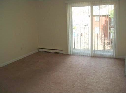 New Carpet