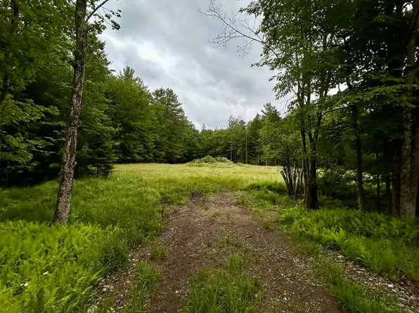 L40.12 Persch Road, Bleecker, NY 12078