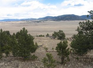 5655 Jackson Rd, Hartsel, CO 80449