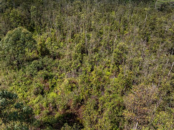 3rd image of Pikake St Lot 8025