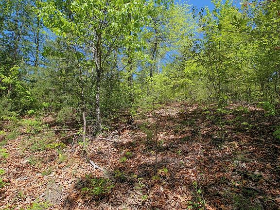 3rd image of LOT 128th Blf