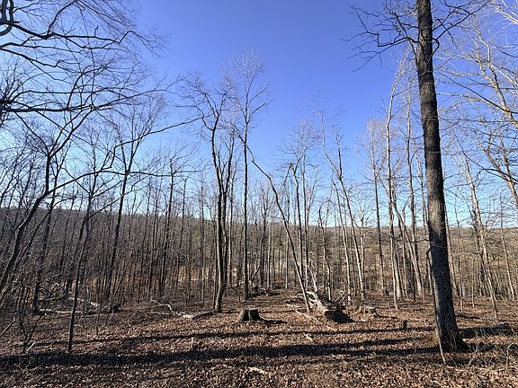 4th image of 1 Deep Cut Rd Lot 1