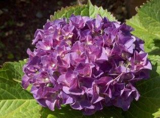 1518 Zebulon Rd, Griffin, GA 30224