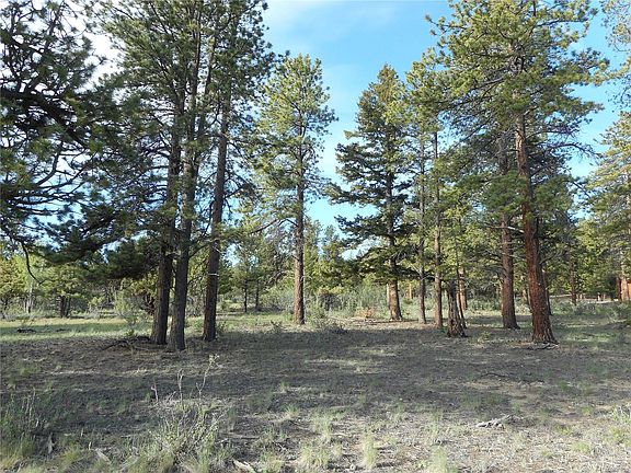 4th image of 30491 National Forest Dr