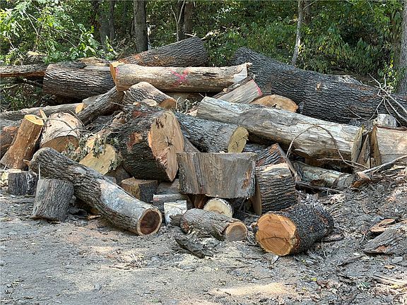 4th image of 244 North Rd