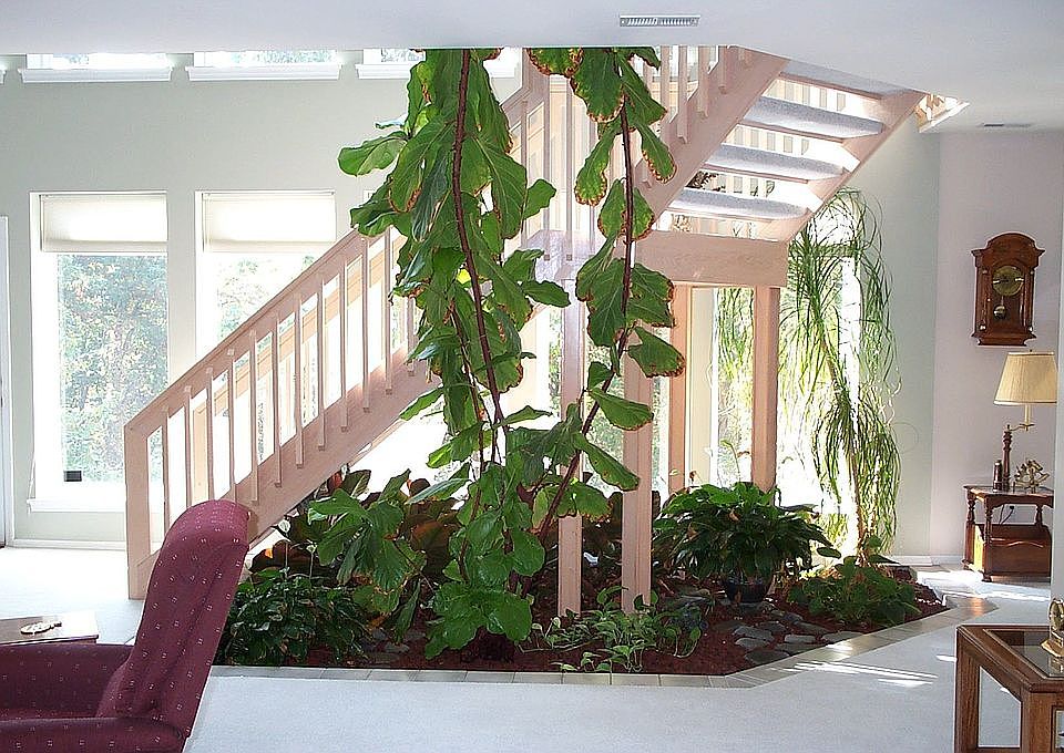 Lower Level Atrium