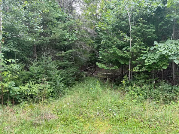 V/l Shubert Hwy, Presque Isle, MI 49777