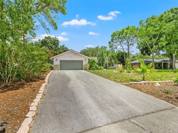251 Dunbridge Dr, Palm Harbor, FL 34684