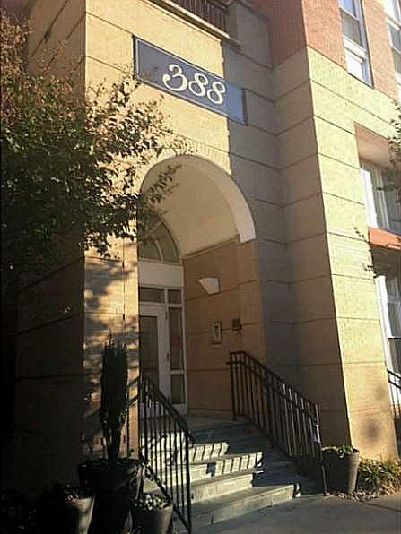 1st image of 388 Boush St Unit 204