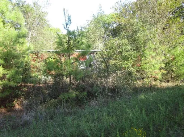 228 Kelly Dr, Trinity, TX 75862