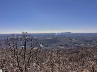 56 Raven Rd, Landrum, SC 29356