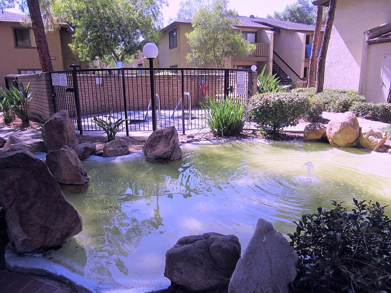 10202 Black Mountain Rd — Photo 11