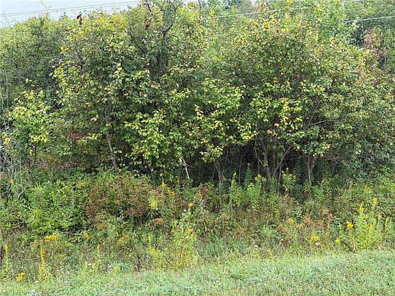 3rd image of Adams Rd Lot 22