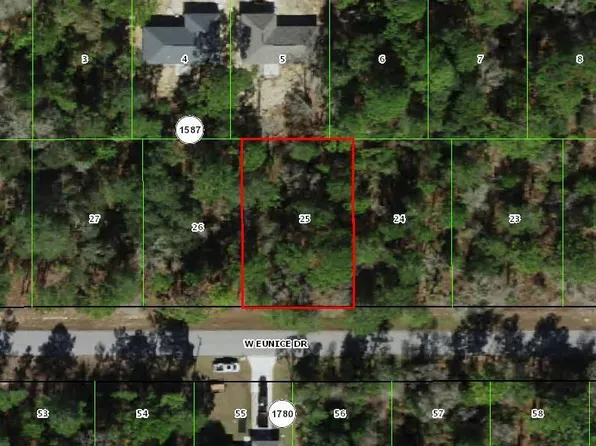 3073 W Eunice Drive, Citrus Springs, FL 34433