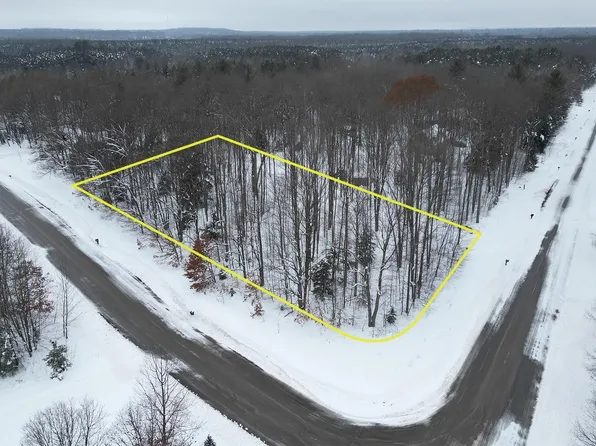 Gray Fox Dr, Interlochen, MI 49643