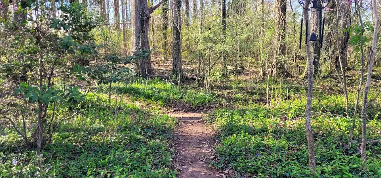 720 Riddle Mill Rd — Photo 20