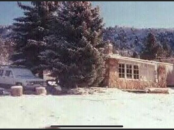 Looking out kitchen window