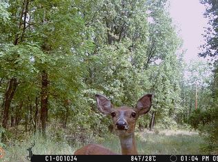 6030 SE 740 P Vt Rd, Collins, MO 64738