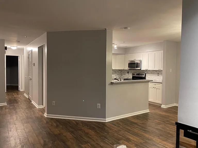 5006 Dorsey Hall Dr #B3 — Photo 10