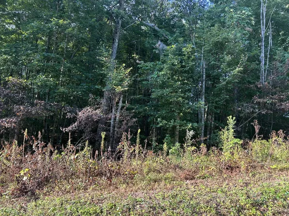 0 Panther Branch Rd, Jamestown, TN 38556