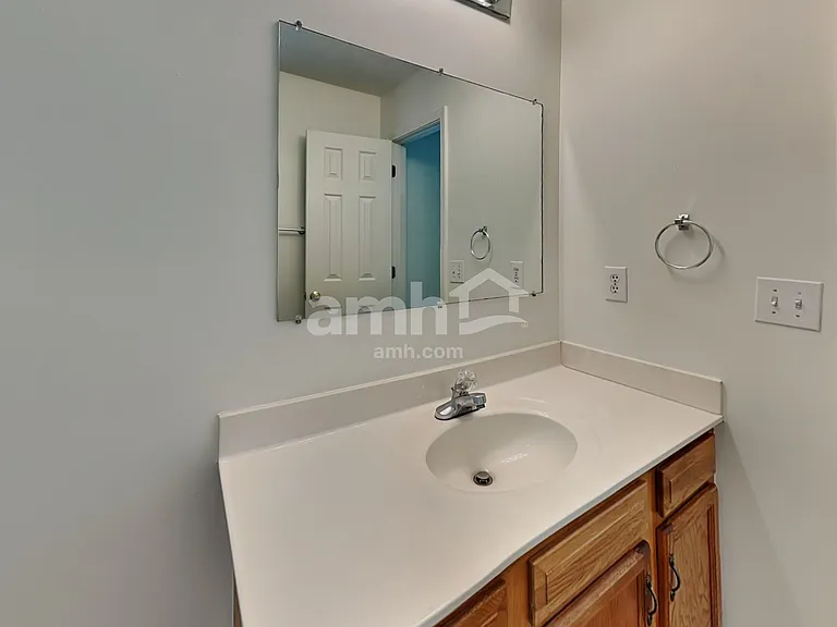 1407 Hyalyn Springs Ct — Photo 10