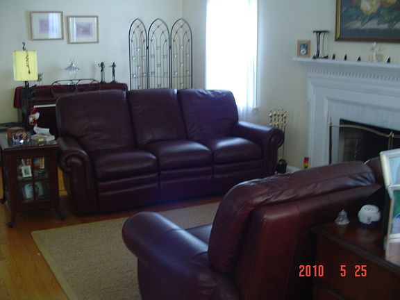 LR 33x24 w/fplc eastern view