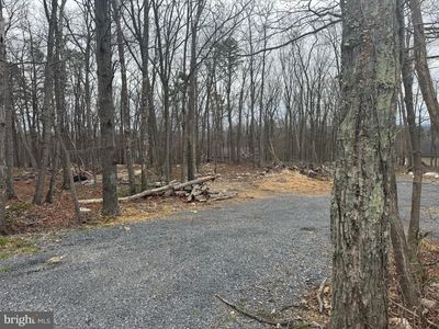 Bluebird Trl, Winchester, VA, 22602