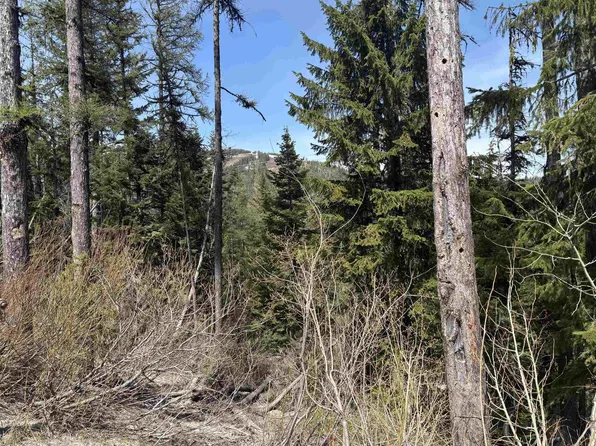 Nka Parallel Run Lot 9A, Sandpoint, ID 83864