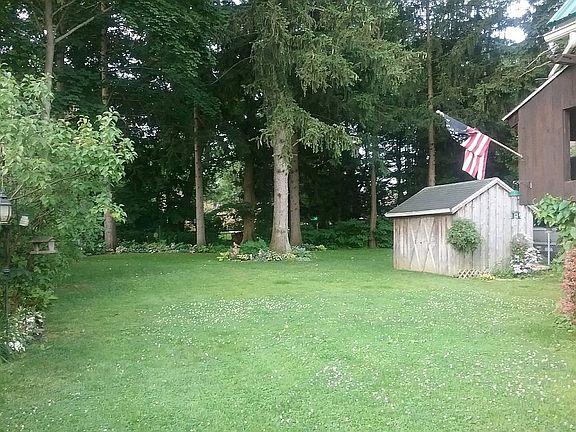 larger yard with creek